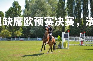 金年会官网-洛里缺席欧预赛决赛，法国队将遭遇困难