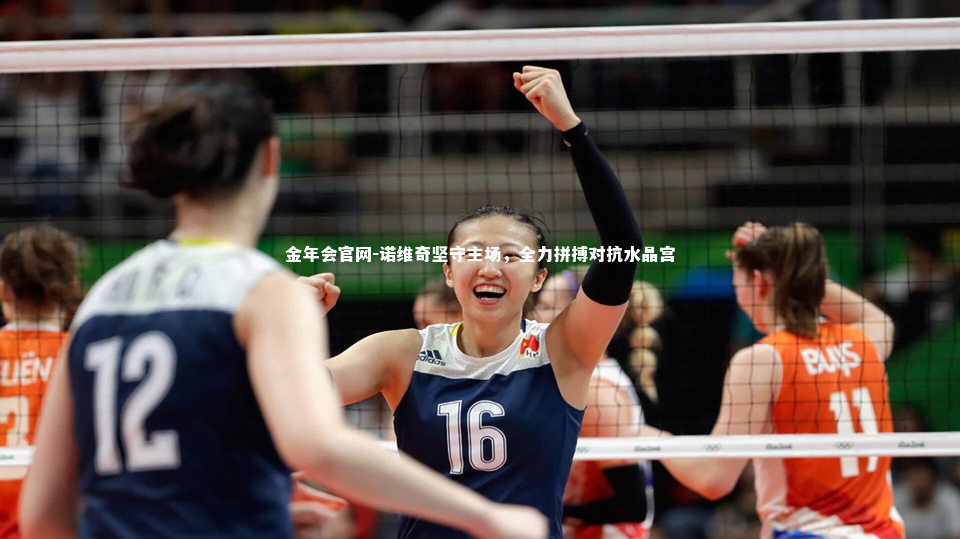 诺维奇坚守主场，全力拼搏对抗水晶宫