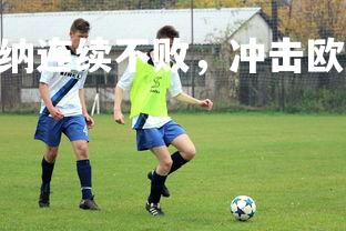 金年会官网-.维罗纳连续不败，冲击欧冠参赛资格，维罗纳队